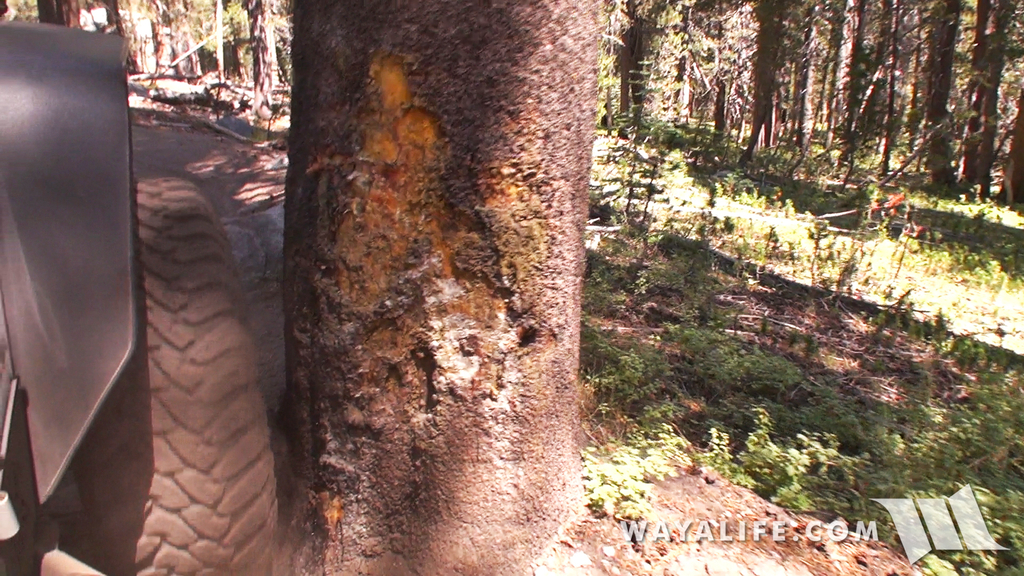 00046.MTS.00_00_26_21.Still002