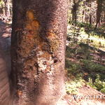 00046.MTS.00_00_26_21.Still002