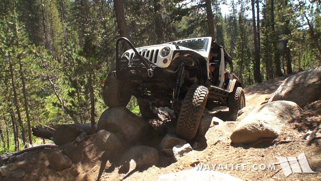 00047.MTS.00_00_18_41.Still002