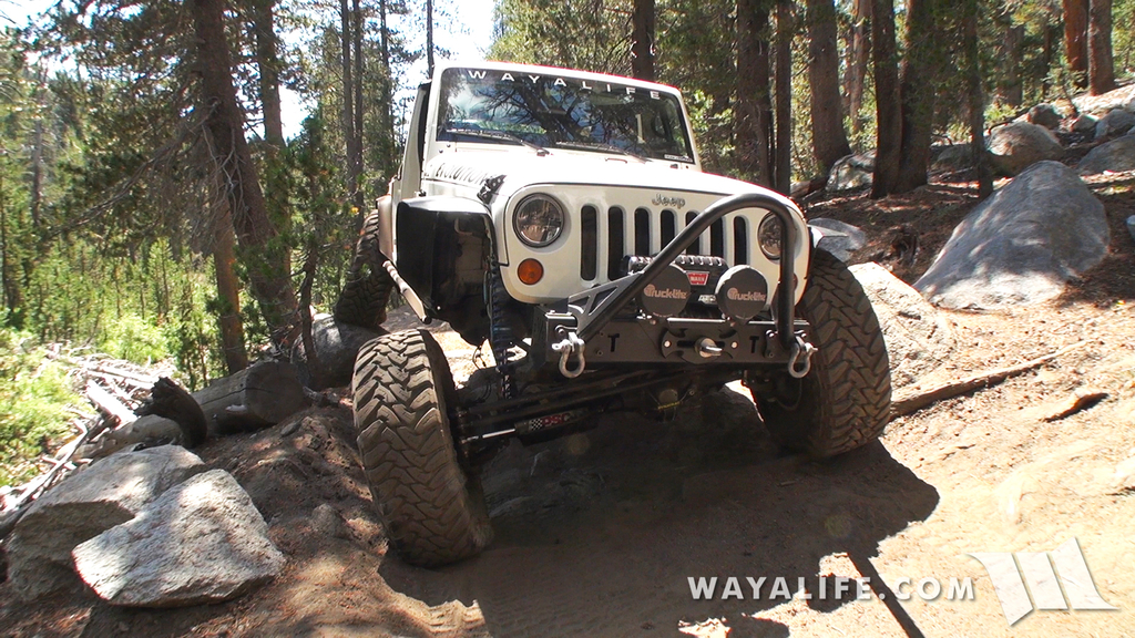 00049.MTS.00_00_01_42.Still001