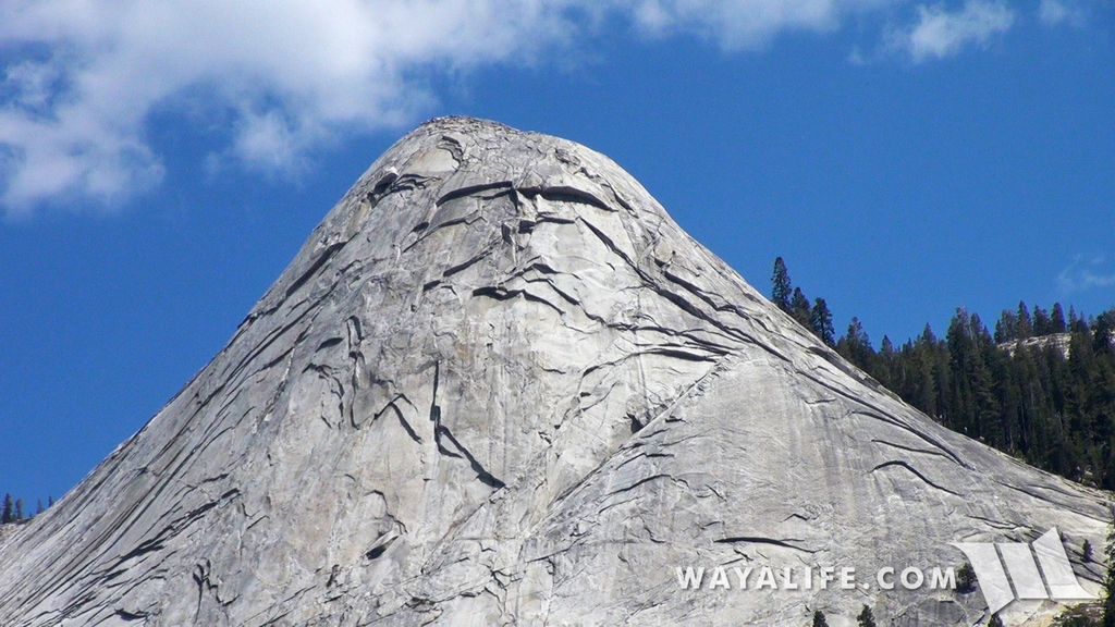 00054.MTS.00_00_11_51.Still001