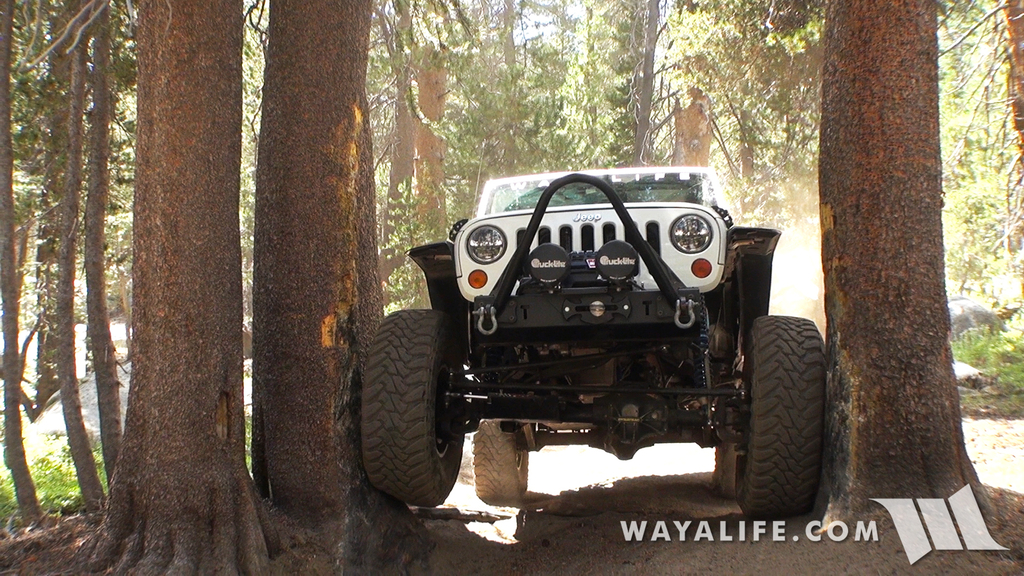 00061.MTS.00_00_14_21.Still001