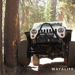 00061.MTS.00_00_14_21.Still001