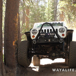 00061.MTS.00_00_14_28.Still002