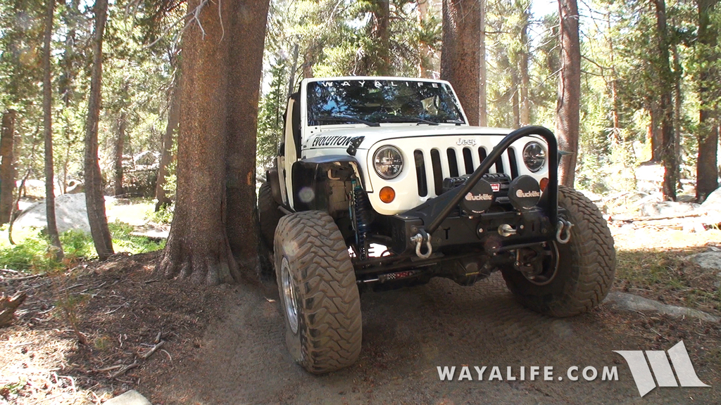 00061.MTS.00_00_21_35.Still003