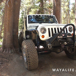 00061.MTS.00_00_21_35.Still003