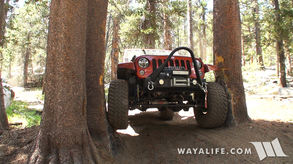 00061.MTS.00_01_17_25.Still004