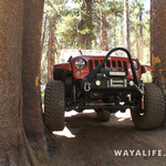 00061.MTS.00_01_17_25.Still004