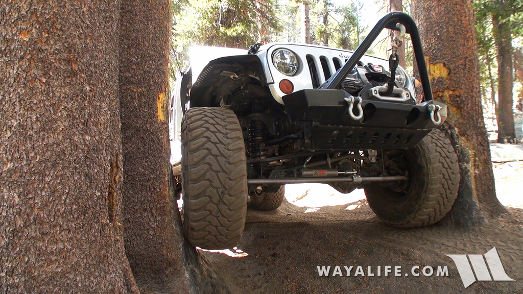 00061.MTS.00_01_55_56.Still005