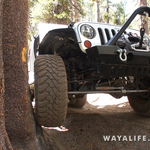 00061.MTS.00_01_55_56.Still005