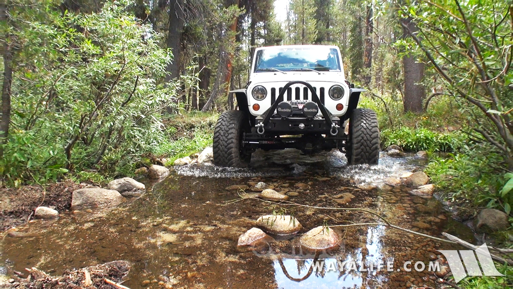 00065.MTS.00_00_11_29.Still001