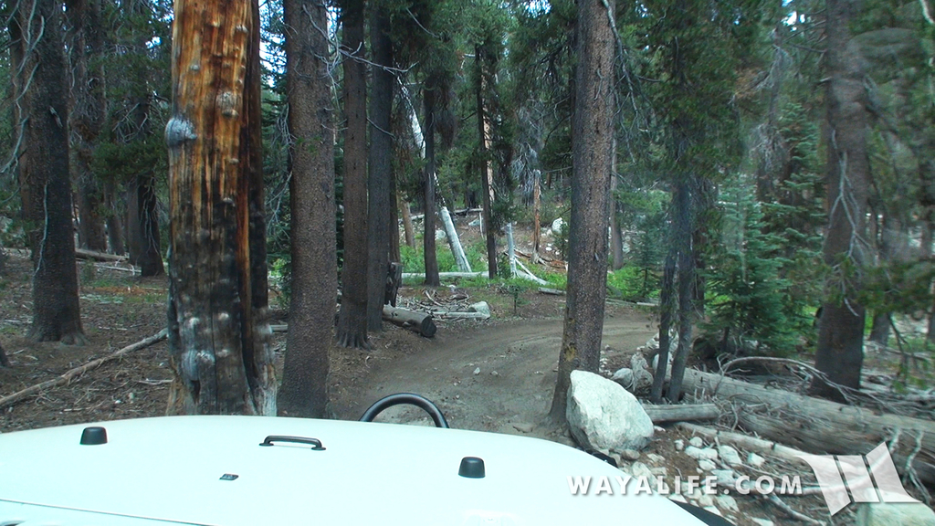 00067.MTS.00_00_04_04.Still001