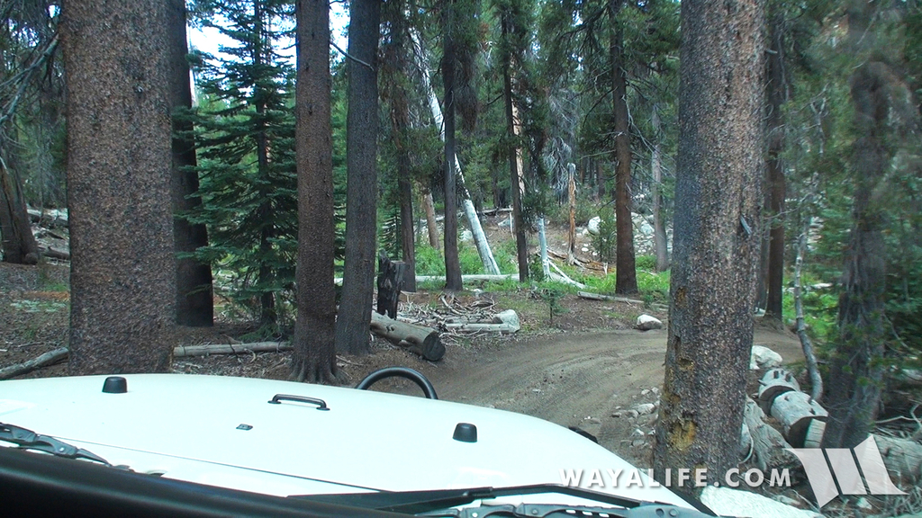 00067.MTS.00_00_07_23.Still002