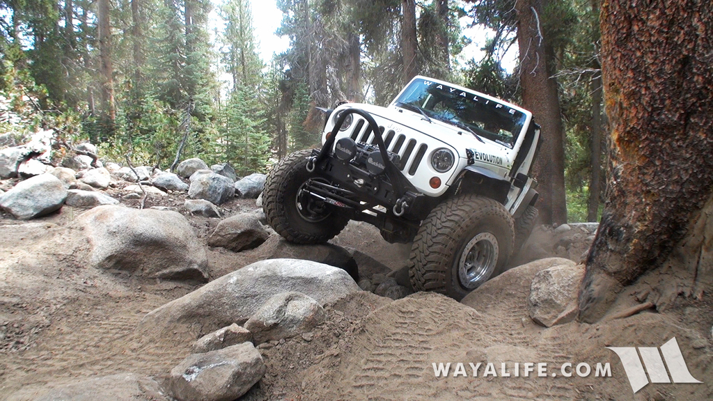 00070.MTS.00_00_24_48.Still002