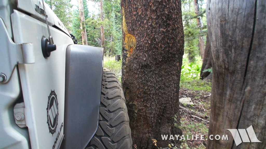 00073.MTS.00_00_08_46.Still001