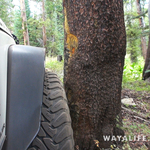 00073.MTS.00_00_08_46.Still001