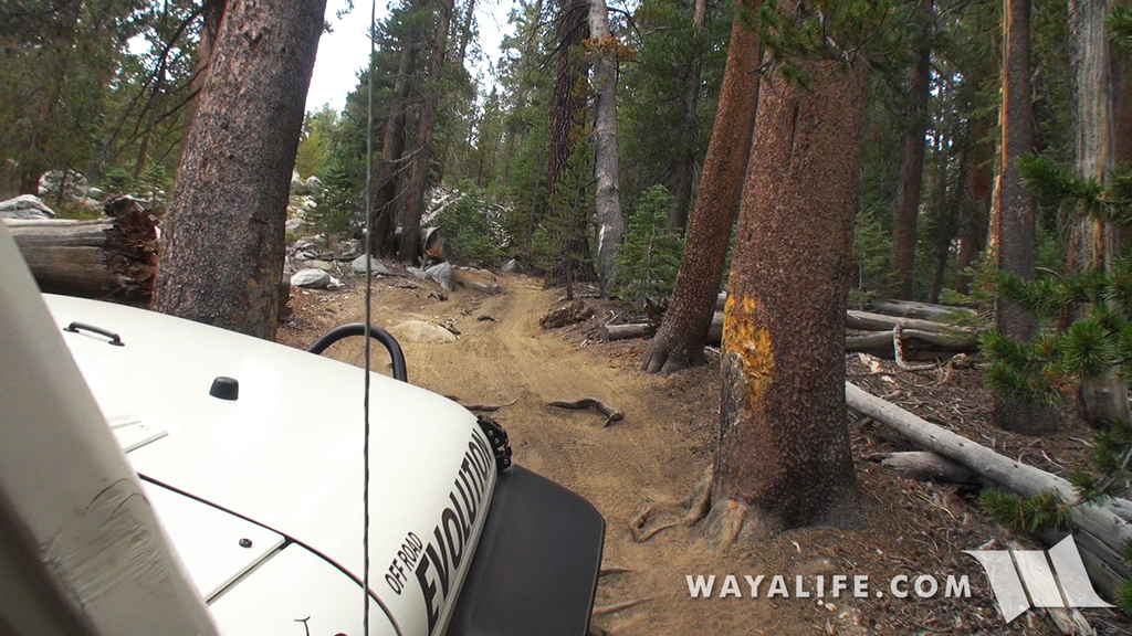 00074.MTS.00_00_13_44.Still001