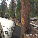 00074.MTS.00_00_15_24.Still002