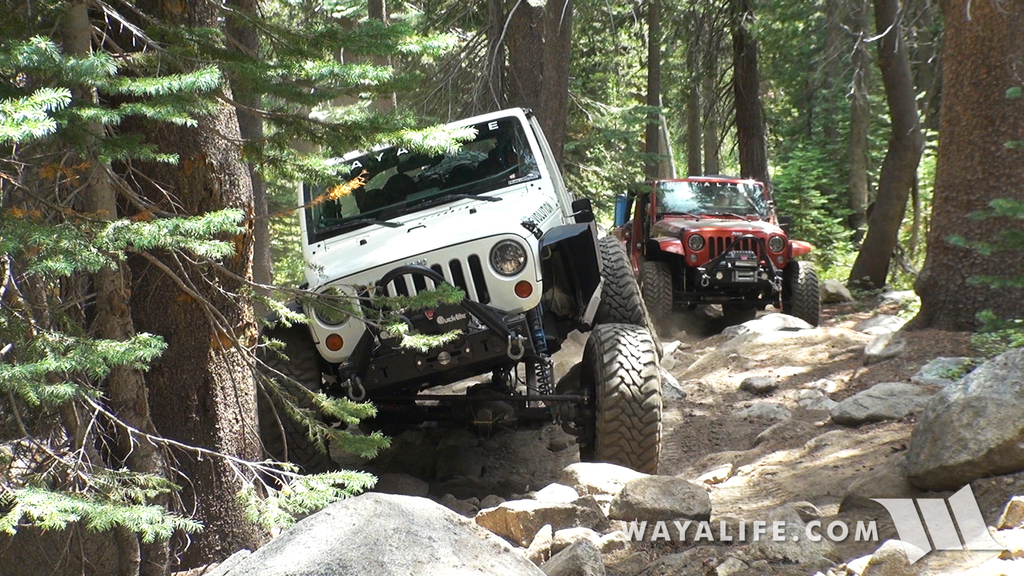 00079.MTS.00_00_17_17.Still001