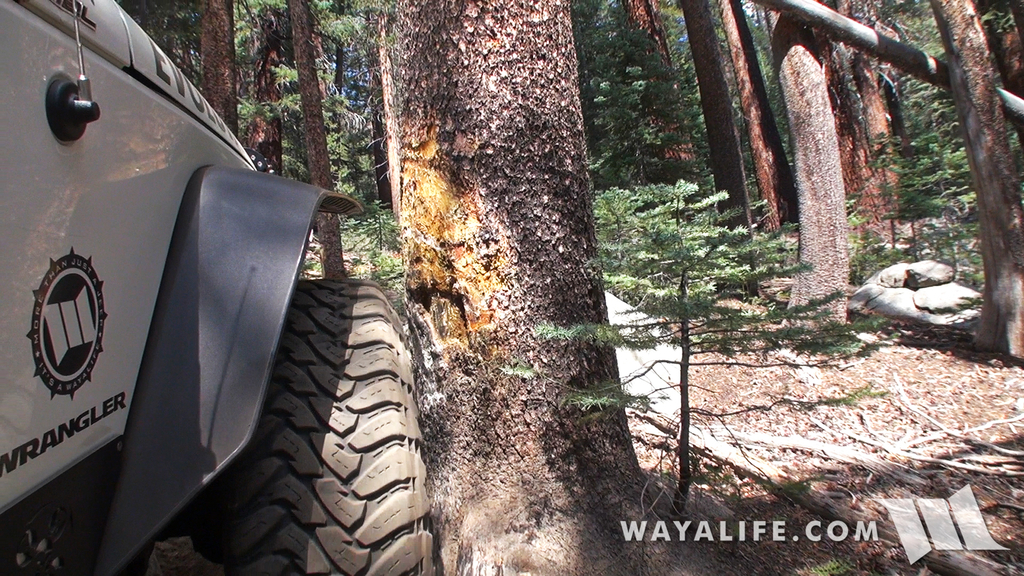 00082.MTS.00_00_34_24.Still001