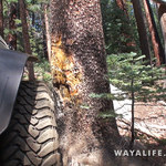 00082.MTS.00_00_34_24.Still001