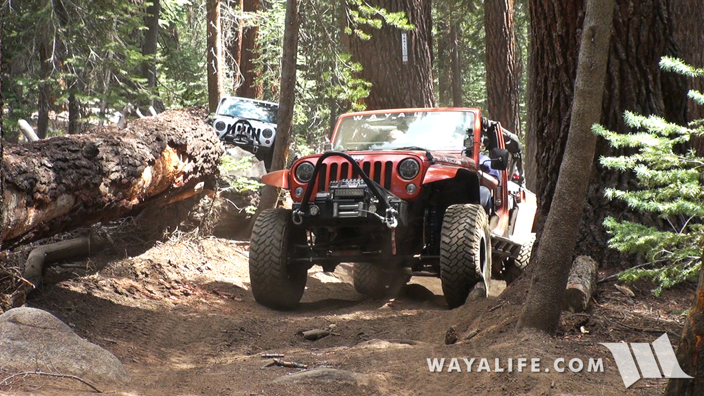 00084.MTS.00_00_56_13.Still001