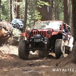 00084.MTS.00_00_56_13.Still001