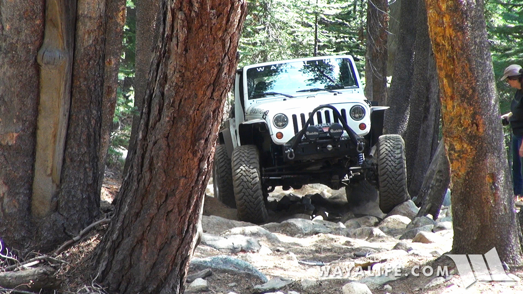 00087.MTS.00_00_59_09.Still001