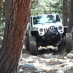 00087.MTS.00_00_59_09.Still001