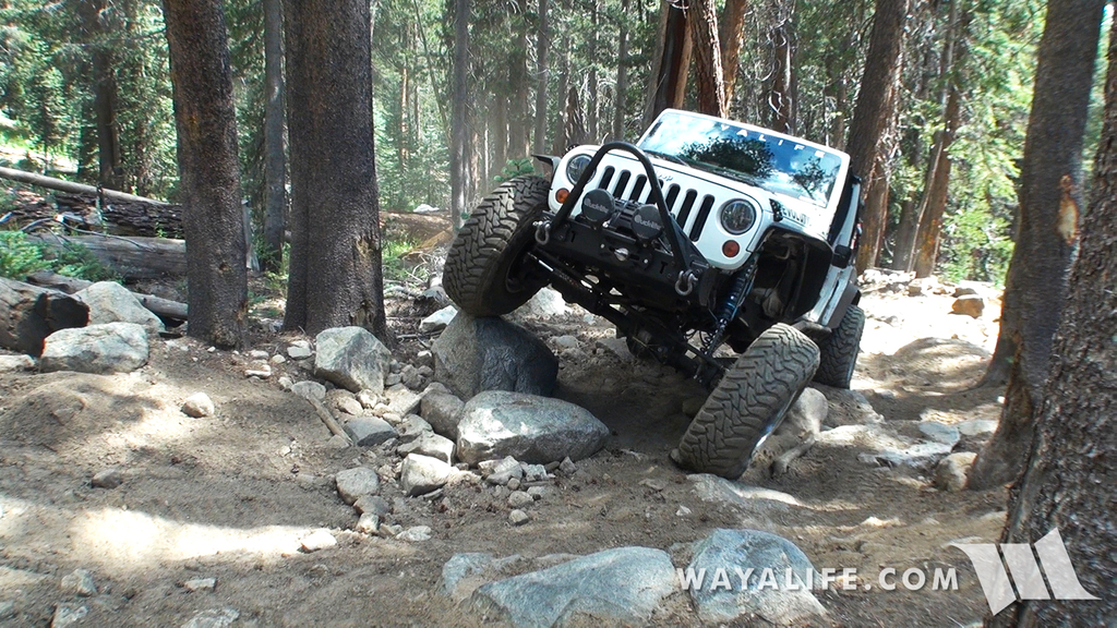 00087.MTS.00_01_33_55.Still004