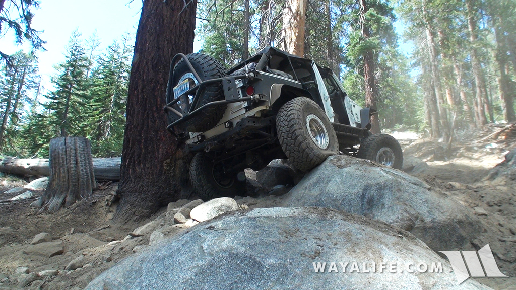 00087.MTS.00_02_20_24.Still006