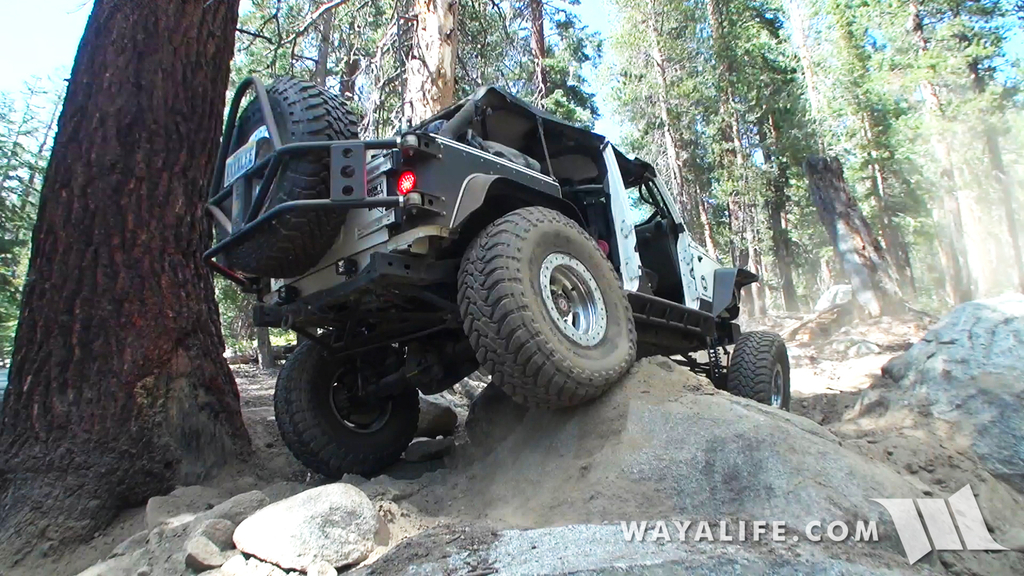 00088.MTS.00_00_00_00.Still001