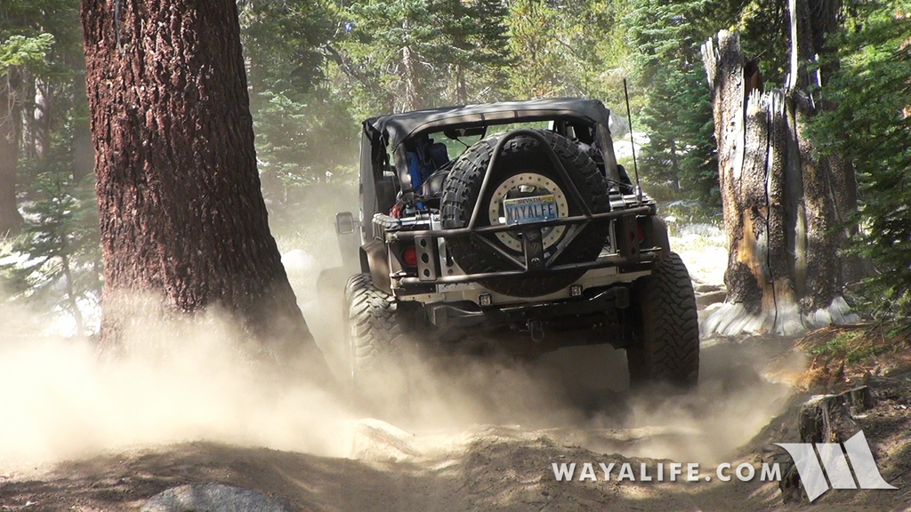 00088.MTS.00_01_41_58.Still002