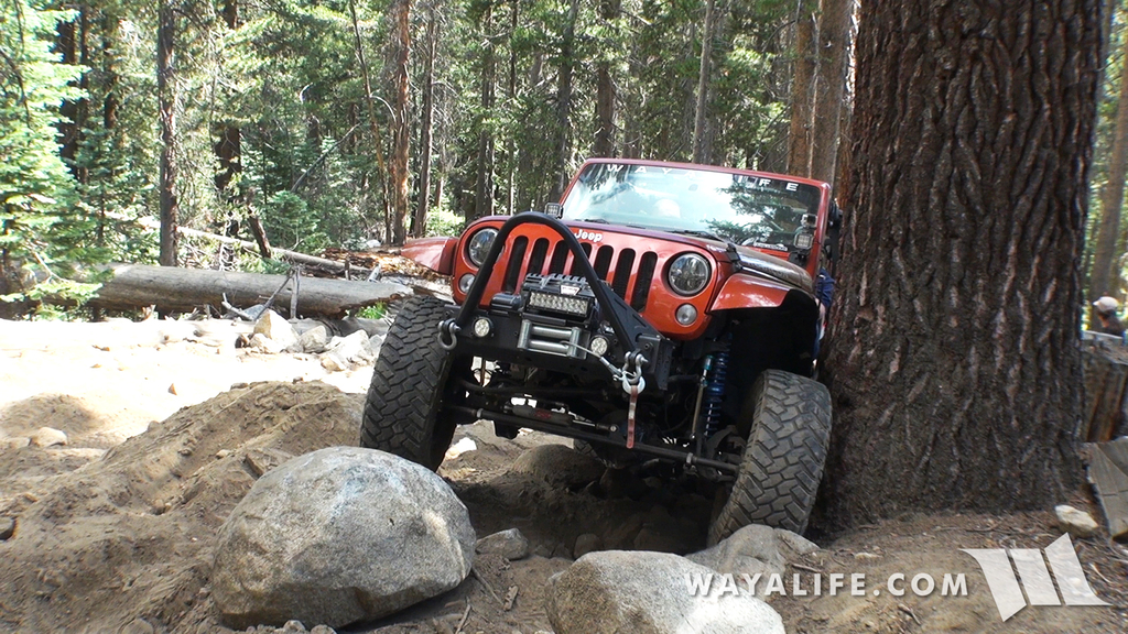 00089.MTS.00_02_11_40.Still001