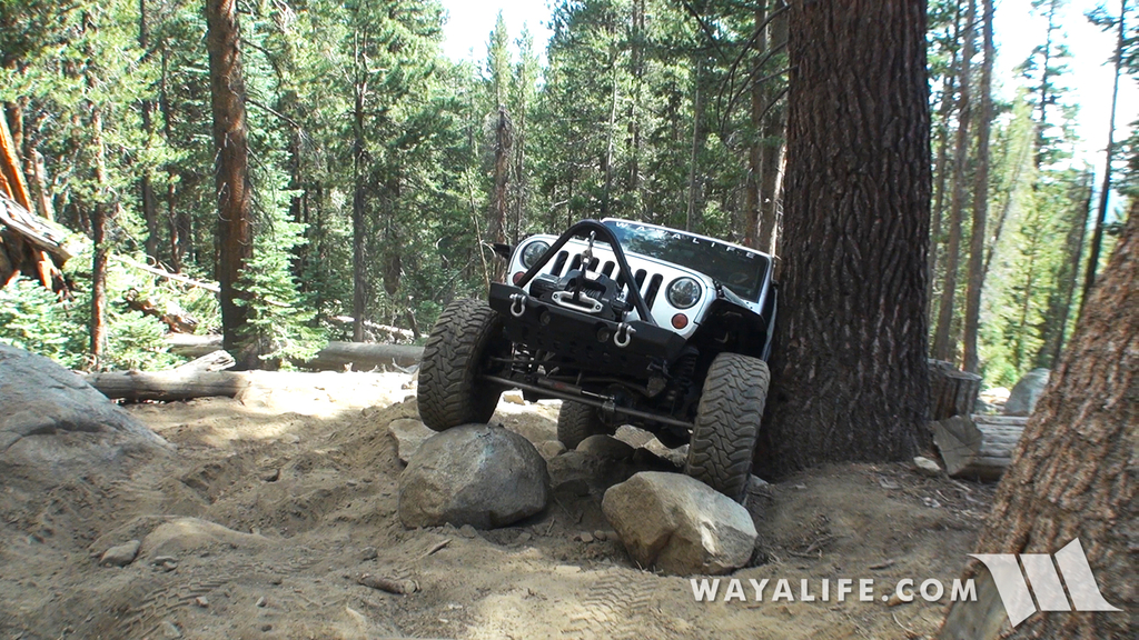 00094.MTS.00_00_39_05.Still001