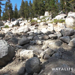 00100.MTS.00_00_00_02.Still001