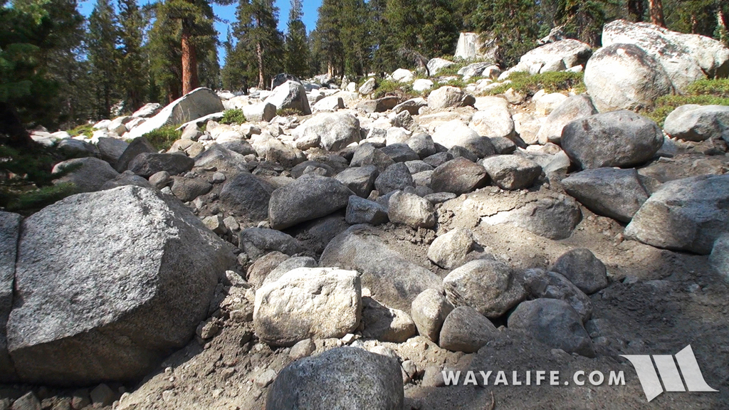 00100.MTS.00_00_00_52.Still002