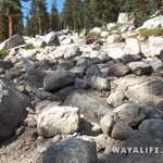 00100.MTS.00_00_00_52.Still002