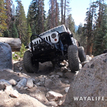 00103.MTS.00_00_17_09.Still001