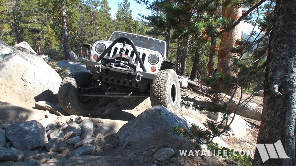 00111.MTS.00_01_16_35.Still001