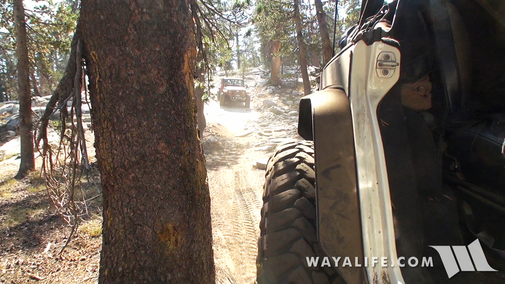 00157.MTS.00_00_19_41.Still001