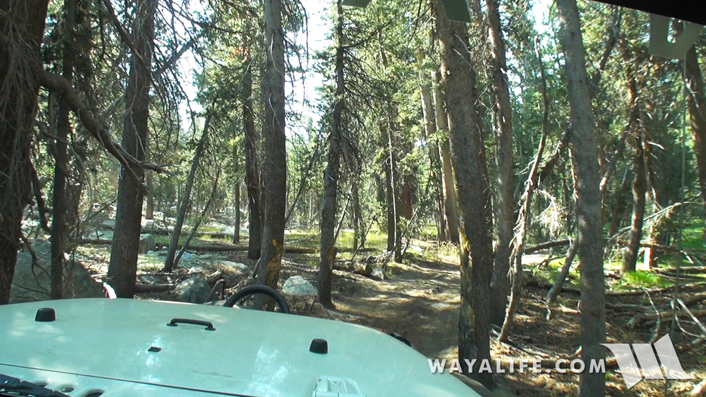 00161.MTS.00_00_06_18.Still001