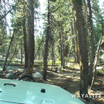 00161.MTS.00_00_06_18.Still001