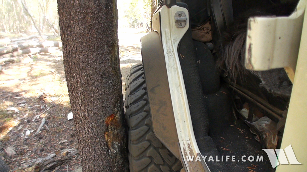 00161.MTS.00_00_16_17.Still002