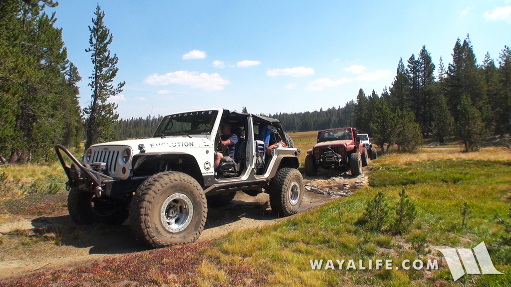 00172.MTS.00_00_20_50.Still001