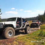 00172.MTS.00_00_20_50.Still001