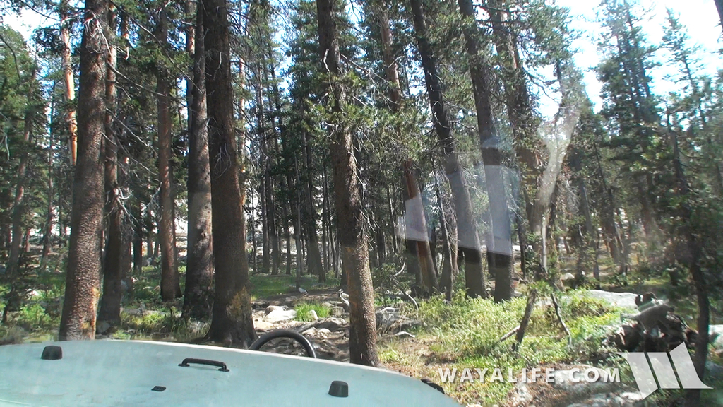 00269.MTS.00_00_00_35.Still001