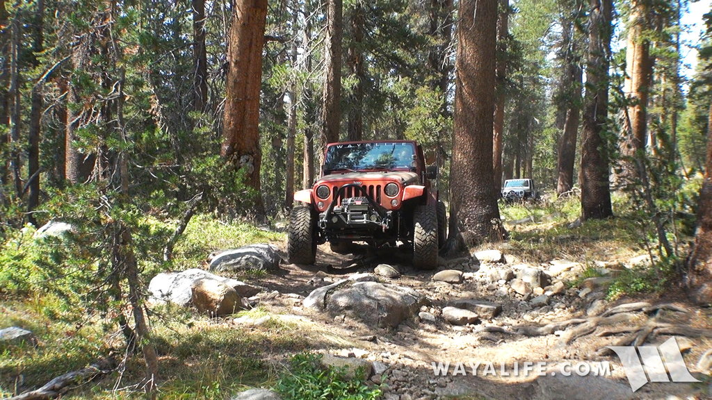 00270.MTS.00_00_52_28.Still002