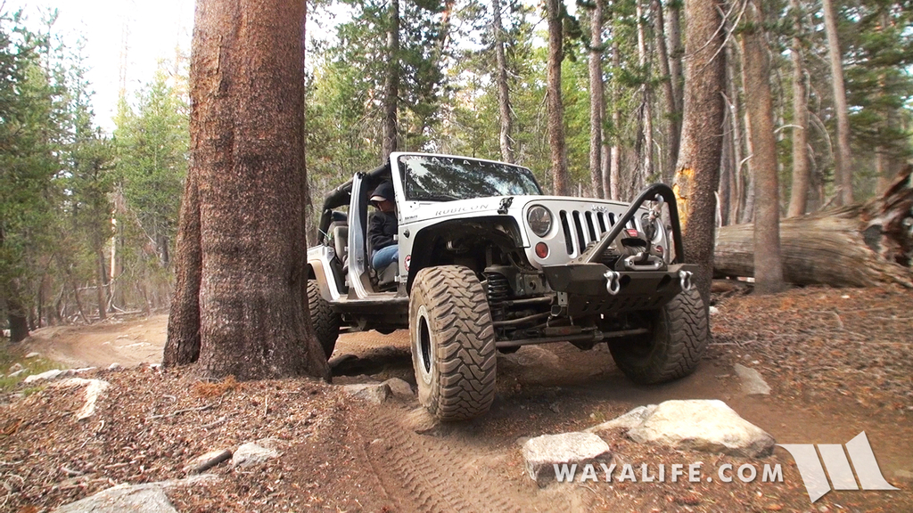 00326.MTS.00_01_11_45.Still001