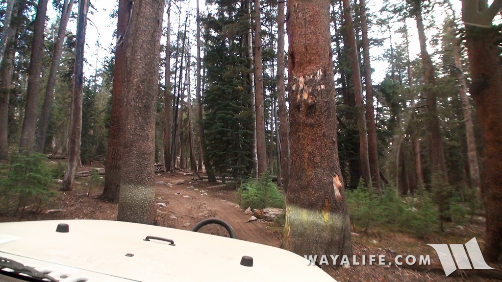 00328.MTS.00_00_00_19.Still001